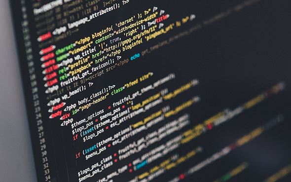 Website Development